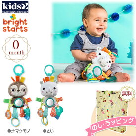 Kids2 Bright Starts 12274-12275 プレイフルパルズ（ナマケモノ/さい）キッズツー ブライトブライトスターツ ぬいぐるみ 歯固め 赤ちゃん ベビー 0ヶ月 布製玩具 知育玩具 出産祝い 室内遊び お出かけ用に ベビーカー プチギフト プレゼント 誕生日 お祝い クリスマス