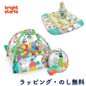 y20%OFFZ[zxr[W {[v[ O[ {[ vCW vC}bg Ԃ 0 oYj a NX}X uCgX^[c Bright Starts LbYc[ Kids2 5-in-1 AEF