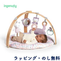 楽天市場】インジェニュイティ コージースポット リバーシブルジムの通販