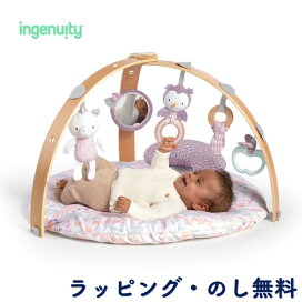 楽天市場】【20%OFFセール】ベビージム プレイジム ピンク プレイ 