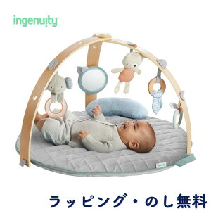 xr[W vCW vC}bg  gC Q Ԃ 0 oYj a NX}X CWFjCeB ingenuity LbYc[ Kids2 R[W[X|bg o[VuW 12126