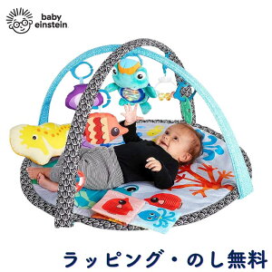 xr[W C vCW vC}bg gC Q Ԃ 0 oYj a NX}X xr[ACV^C Baby Einstein LbYc[ Kids2 V[tYEANeBreBW 11744