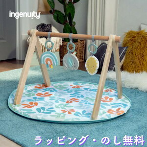 xr[W Vv u[ F vCW vC}bg gC Q Ԃ 0 oYj a NX}X CWFjCeB ingenuity LbYc[ Kids2 ؐgCo[vC}b