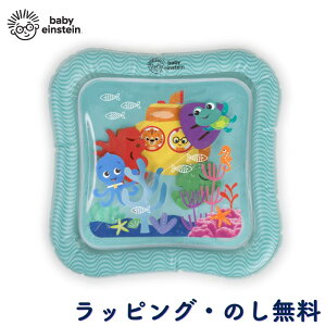 vC}bg EH[^[}bg V 0 V Ђ K MǑ΍ oYj Mtg v[g a j 蕨 NX}X xr[ACV^C Baby Einstein L