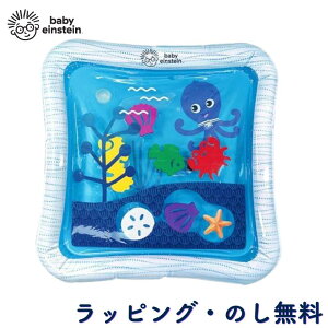 vC}bg EH[^[}bg Ԃ 0 V Ђ K MǑ΍ oYj Mtg v[g a j 蕨 NX}X xr[ACV^C Baby Einstein 