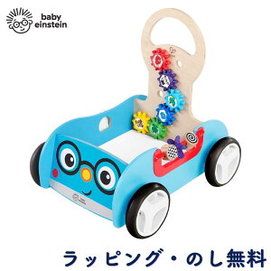 xr[EH[J[ [ {bNX 艟 LbYS ܂藧 sK oYj a NX}X xr[ACV^C Baby Einstein LbYc[ Kids2 fBXJo[