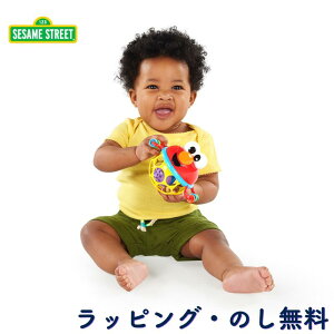 I[{[g ZT~Xg[gG ₷ m {[  xr[ Ԃ 0 oYj a NX}X uCgX^[c Bright Starts LbYc[ Kids2 WO&VF