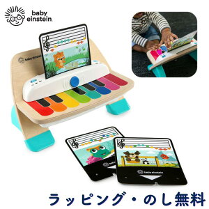sAm  yߋ mߋ  ؐ ؂̂ Vׂ Ԃ 6 oYj a NX}X xr[ACV^C Baby Einstein LbYc[ Kids2 }WbN^b`Es