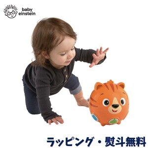 xr[gC   nCnC  mߋ p  wV Ԃ 6 oYj a NX}X Baby Einstein LbYc[ Kids2 eBJ[Y N[EAOE\O