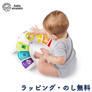 【25%OFFセール】木琴 おもちゃ 楽器玩具 知育玩具 教育 英語 長く遊べる 赤ちゃん 3ヶ月 出産祝い 誕生日 クリスマス ベビーアインシュタイン Baby Einstein キッズツー Kids2 グロー&ディスカバー