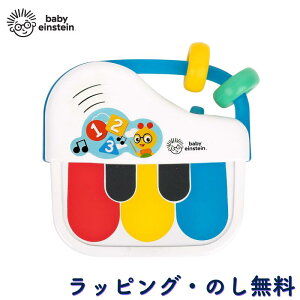 sAm ~j  yߋ mߋ  Vׂ Ԃ 3 oYj a NX}X xr[ACV^C Baby Einstein LbYc[ Kids2 }WbN^b` ~jsAm 13093