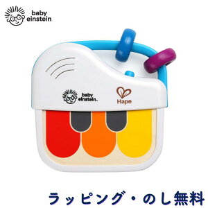 sAm ~j  yߋ mߋ  Vׂ Ԃ 3 oYj a NX}X xr[ACV^C Baby Einstein LbYc[ Kids2 }WbN^b` ~jsAm 12008 F4