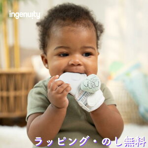 y10%OFFz~g^ Ԃ  S BPAt[ wԂ h~ ܊ݖh~ Ԃ 3 oYj a NX}X CWFjCeB ingenuity LbYc[ Kids2 ł