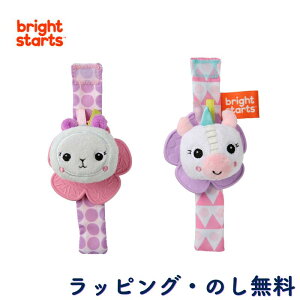 Xgg  sN 炪 g Xgoh^ g z Ԃ 0 oYj Mtg v[g NX}X uCgX^[c Bright Starts LbYc[ Kids2 gu