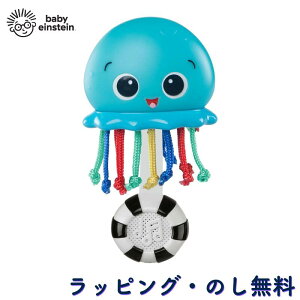 xr[gC ł ^R     wV mߋ Ԃ 0 oYj a NX}X Baby Einstein LbYc[ Kids2 I[VO[EZT[VFCJ[ 10800