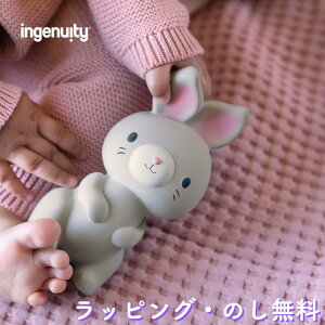 y15%OFFZ[zł  Ԃ   ֗ObY Ԃ 0 oYj a NX}X CWFjCeB ingenuity LbYc[ Kids2 ̃VB[VRS