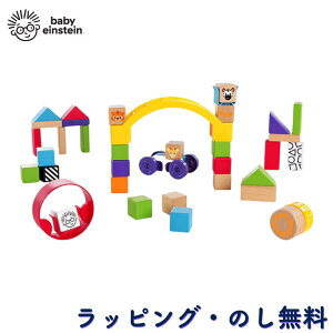 y40%OFFZ[zؐ݂ ݂ ςݖ ubN Jt mߋ ؐߋ ؐ 12 1 oYj a NX}X xr[ACV^C Baby Einstein LbYc[ Kids2 L