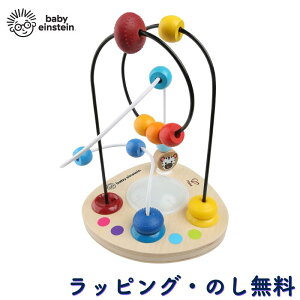 r[YCY J[~LT[ ؐ ؐߋ ؂̂ m炨 Ԃ 1 oYj a NX}X Baby Einstein LbYc[ Kids2 J[~LT[Er[YCY 11648