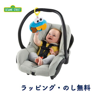 ł NbL[X^[ ZT~Xg[g Ԃ   ֗ObY Ԃ 3 oYj a NX}X uCgX^[c Bright Starts LbYc[ Kids2 ZT~X