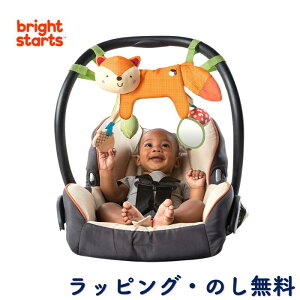 nMOgC zႫ ^O xr[J[ ݂艺 t ł z Ԃ 0 oYj a NX}X uCgX^[c Bright Starts LbYc[ Kids2 tH