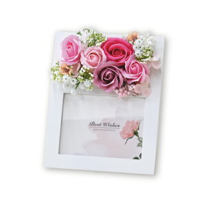  \[vt[ V{t[ tHgt[ sN 䋟   i v[g ybg  e 蕨  ފ  A tHgX^h ybg{ 