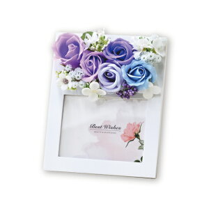  \[vt[ V{t[ tHgt[ p[v  ybg  蕨  e ފ  A tHgX^h ybg{ AObY vU[uh