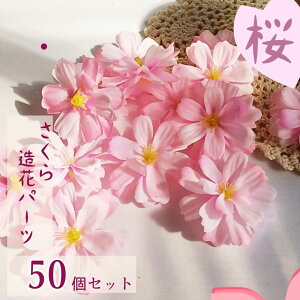 y[֑zy50Zbgzwbh ԃp[c sN nhChޗ Cxg t̃Cxg Be RT[W [X  Ǝ w