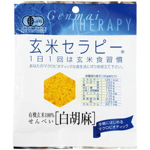 6܂łȂSꗥ300~(ō)L@ăZs[EӖ 30g Ag