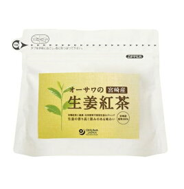 オーサワの生姜紅茶(ティーバッグ) 60g(3g×20包) オーサワジャパン