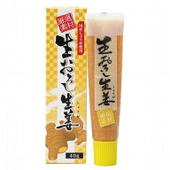 ★10個までなら全国一律送料300円(税込)★生おろし生姜 40g 東京フード