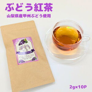 Ԃǂg2g×10P@t[cg@t[o[@g@t[c@t[ceB[@Ԃǂ@@O[veB[@eB[obO@@sgp