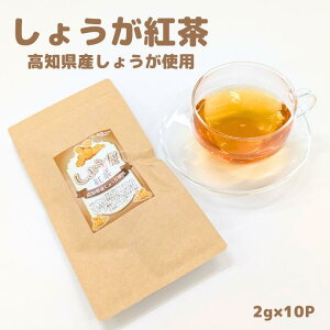 傤g2g×10P@t[cg@t[o[@t[c@g@t[ceB[@I@傤@WW[eB[@eB[obO@@sgp