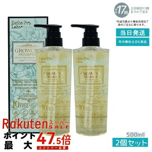 �y2�{�Z�b�g�z�G�X�e�v�����{ �O���E�Z�� �V�����v�[ GPHC 500mL(�G�X�e�v�����{ Esthe Pro Labo �V�����v�[ �g���[�g�����g ���� ���ϕi ���e ���{��)