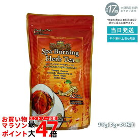 エステプロラボ スパ バーニング ハーブティー プロ 3g×30 日本製 ダイエット ダイエット茶 オーガニック ティーバック ブレンドティ 代謝系