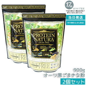 �y2�Z�b�g �z�G�X�e�v�����{ �v���e�C�� �i�`���� �O�����v�� �����܂��ȕ� ��܃^�C�v Esthe Pro Labo GRAN PRO �{�f�B���C�N �_�C�G�b�g �u������ �v���e�C�� �X�|�[�c �^���p�N�� �⋋ �A���� 