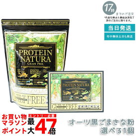 エステプロ・ラボ プロテイン ナチュラ グランプロ（黒ゴマきな粉）20袋(ボディメイクサポート エステプロラボ 健康食品 サプリメント ダイエット 美容 酵素 グランプロ シリーズ ココア 抹茶 黒ゴマ きな粉) 賞味期限：2026.12