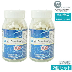 �y2�Z�b�g�zGH Creation EX++ 270�� ���j���[�A�� �W�[�G�C�` �N���G�[�V���� EX �g�����N�⏕�T�v�������g �g���T�v�� ���N�H�i ��g�� �����T�v�� ������ �q�� ���� �X�|�[�c ���w�� ���w�� ��