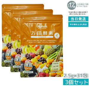 y3Zbgzcyf y[Xg^Cv GINGER WW[  77.5g (2.5g×31) RyHi yfTv yyf