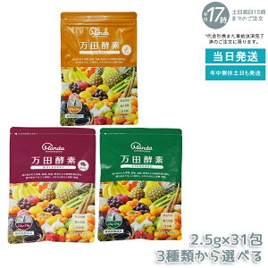 yޑIׂzcyf y[Xg^Cv GINGER WW[ X^_[h }x[  77.5g (2.5g×31) RyHi yfTv yyf