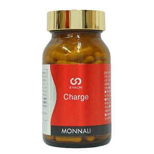 i B8 Charge `[W 120 MONNALI Ki  e NT|[g 30 40 50 XLPA v[g Mtg