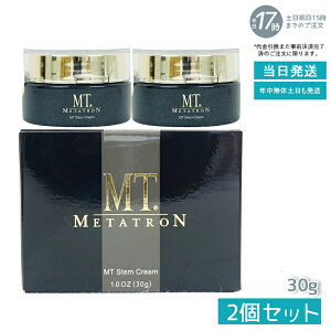 y2ZbgzMT^g MT XeN[ (ێN[) 30g ϕi