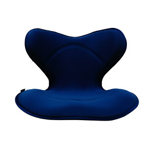 【全3色】スタイル スマート Style SMART MTG 姿勢矯正 骨盤サポートチェア 座椅子 骨盤 姿勢 補正 背骨 椅子 クッション テレワーク 在宅 在宅勤務 リモートワーク