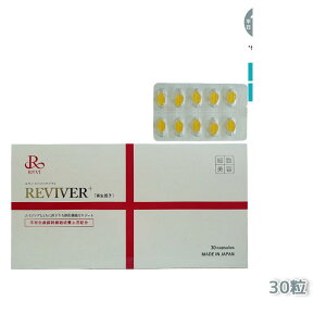 REVI �����B �����B �����@�C�o�[�v���X 1�� 30�� ���N�H�i �T�v�������g �z�[���P�A �z�[���G�X�e �ܖ�����:2026.08