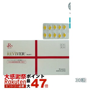 REVI �����B �����B �����@�C�o�[�v���X 1�� 30�� ���N�H�i �T�v�������g �z�[���P�A �z�[���G�X�e �ܖ�����:2026.08