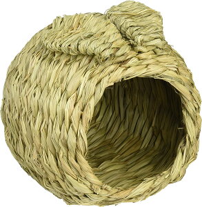 nEX S TCY   nEX ybg xbh | Ƃ̓A Q Vя