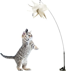 L   Œ˂炵 zՎL炵 ނ L̂ lV ˂  H t XgX ^s L ߋ ʔ