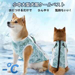 pN[xXg  ⊴xXg ЂxXg ^ ^ ^ hbOEFA pR[g pĕ ʋC  z MǑ΍ Ăh EȒP o U ybg