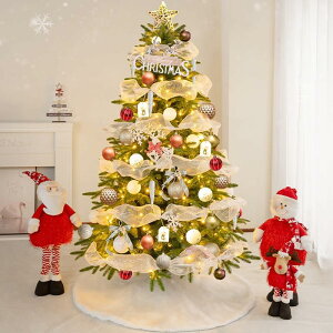 �N���X�}�X�c���[ 150cm ���Z���x �}��450�{ Christmas tree 100��LED���胉�C�g �g���ȒP ���[�֗� �ی�p��ܕt�� �N���X�}�X���� �Z�b�g ���� ���X ���� �ی�p��ܕt�� ���{��戵������