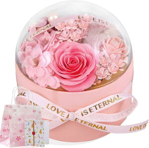 \[vt[ ̓̃v[g Mtg Mtg o^Cf[ NAȃh[^Cv  ͂Ȃ o J[l[V ̓ a zCgf[ LO JXj 