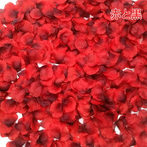 Ԃт 3000Zbg t[V[ KN  v|[Y   EGfBO 2 a j NX}X p[eB[p NX}X